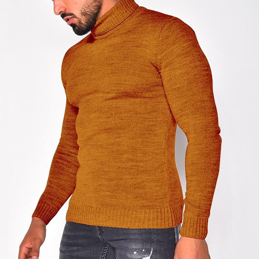 Pull col roulé homme en tricot uni basique